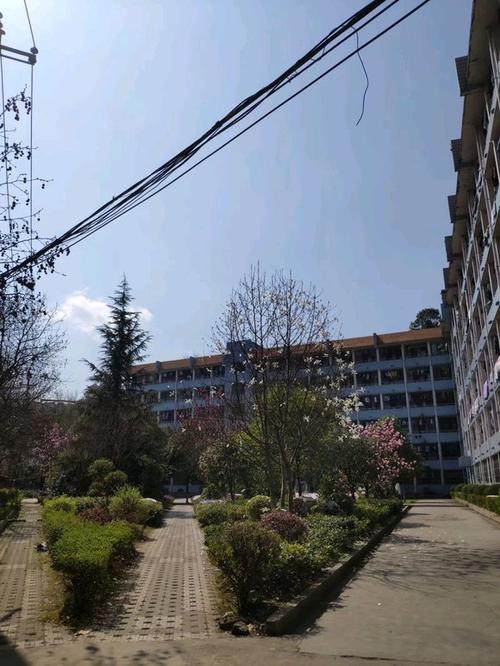 身為貴州電子信息職業(yè)技術(shù)學(xué)院即將畢業(yè)的學(xué)生，我想說說貴州信息科技的那些事兒