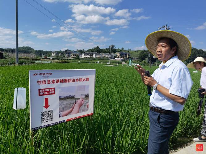 以蟲治蟲以草抑草 貴州舉行主要糧食及重要經濟作物病蟲害綠色防控